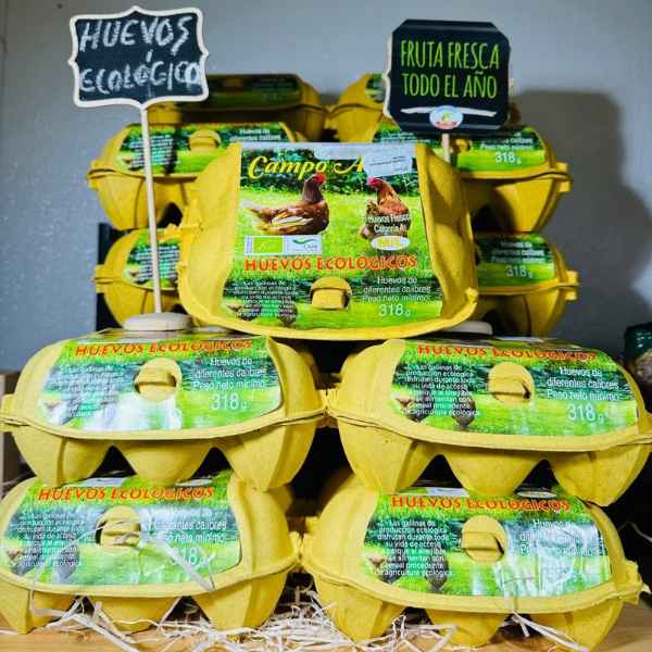 Huevos Ecologicos Media Docena Campo Alcor