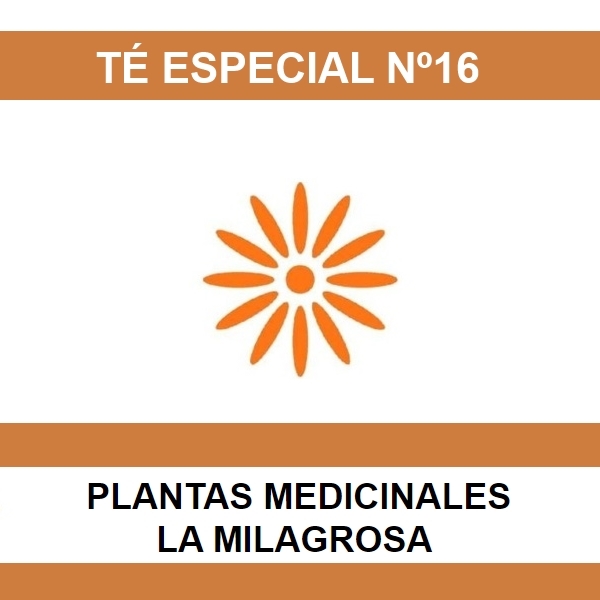 Te Especial Nº16 - La Milagrosa