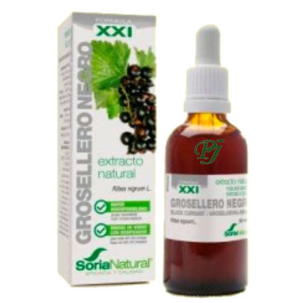 Extracto Grosellero Negro 50Ml Formula Xxi - Soria Natural
