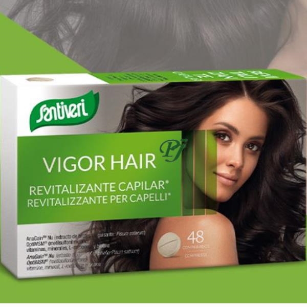 Vigor Hair Revitalizante Capilar 48 Capsulas - Santiveri