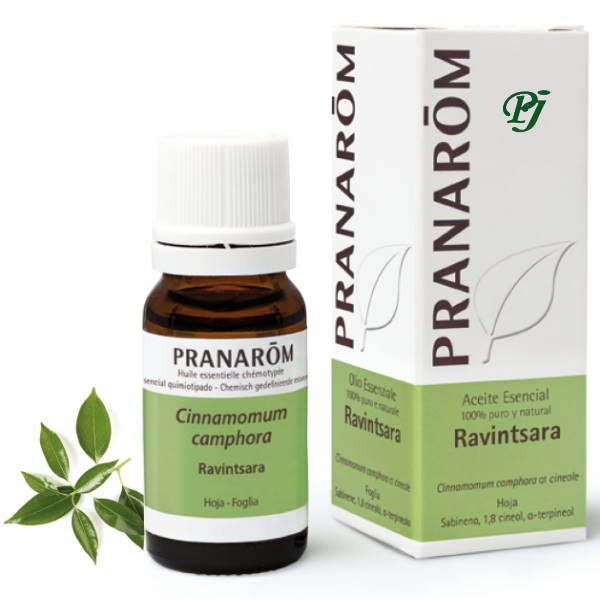 Aceite Esencial Ravintsara Bio 10Ml - Pranarom