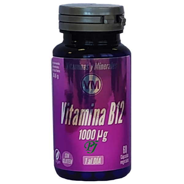 Vitamina B12 1000Ug 60 Capsulas - Ynsadiet