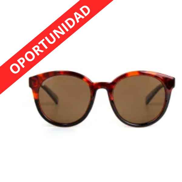 Gafas De Sol Bergamo C2 Havana (2025) - Protecfarma