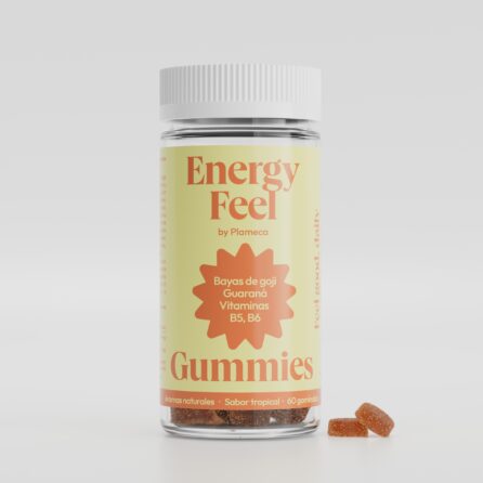 Energy Feel 60 Gummies - Plameca