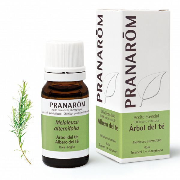 Aceite Esencial Árbol De Té 10Ml. Pranarom