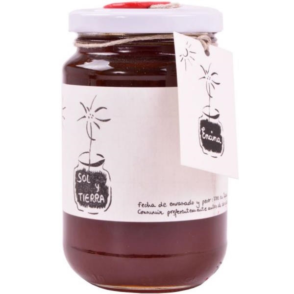 Miel Encina Bio 500Gr - Sol Y Tierra