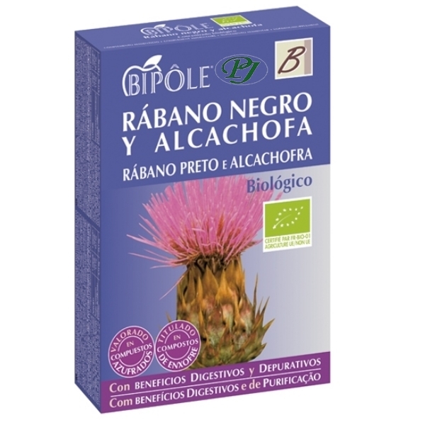 Bipole Rabano Negro Y Alcachofa 20 Ampollas - Dietéticos Intersa