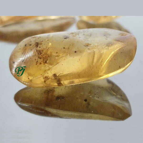 Rodado Copal Con Insectos