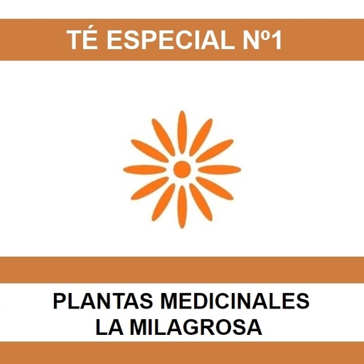 [01278] Te Especial Nº01 - La Milagrosa