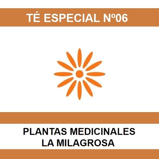 [01283] Te Especial Nº06 - La Milagrosa