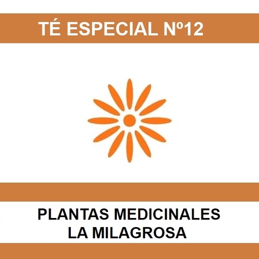 [01289] Te Especial Nº12 - La Milagrosa