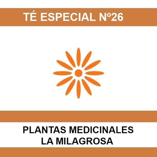 [01303] Te Especial Nº26 - La Milagrosa
