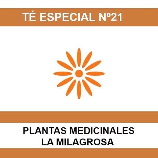 [01298] Te Esp. Nº21 Osteoporosis.