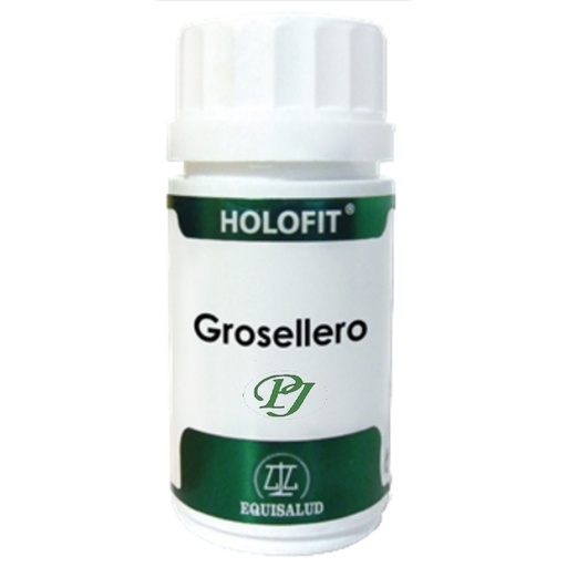 [0500808] Holofit Grosellero 60 Cápsulas - Equisalud