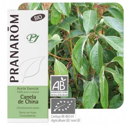 [0501042] Aceite Esencial Canela China 10Ml - Pranarom