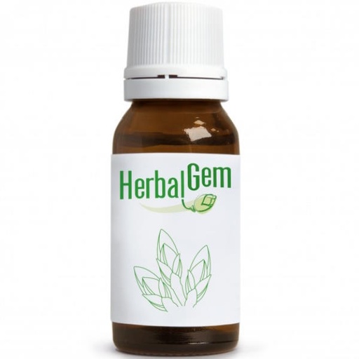[0503261] Jarabe Cantantes Bio 250Ml - Herbalgem