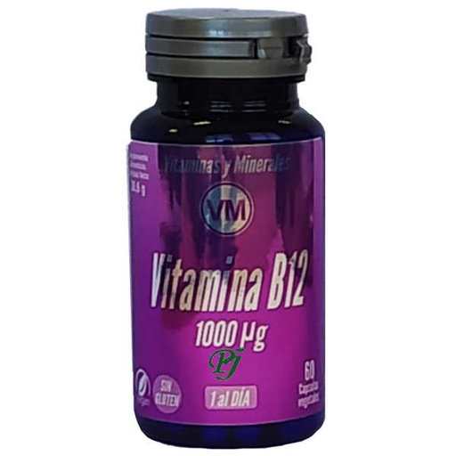 [0503738] Vitamina B12 1000Ug 60 Capsulas - Ynsadiet