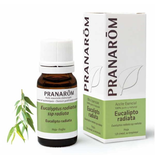 [0504209] Aceite Esencial Eucalipto Radiata 10Ml - Pranarom