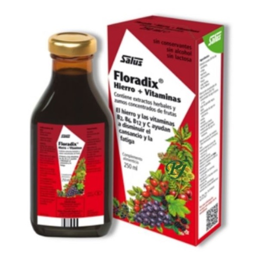 [05313] Jarabe Floradix 250Ml - Salus
