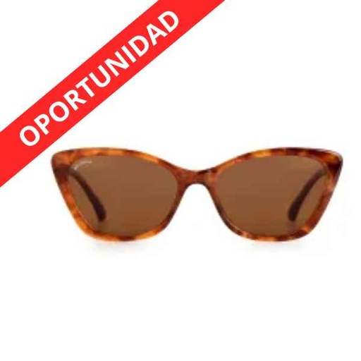 [600024] Gafas De Sol Gijon C4 Shiny Havana (2025) - Protecfarma