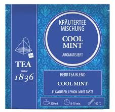 [400377] Pirámide De Té Cool Mint 4 G - Tea
