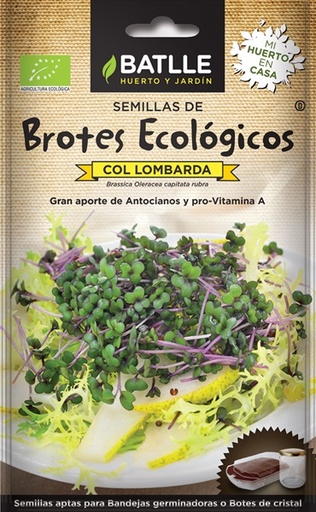 [012006] Semillas Ecológicas De Brotes Col Lombarda Batlle