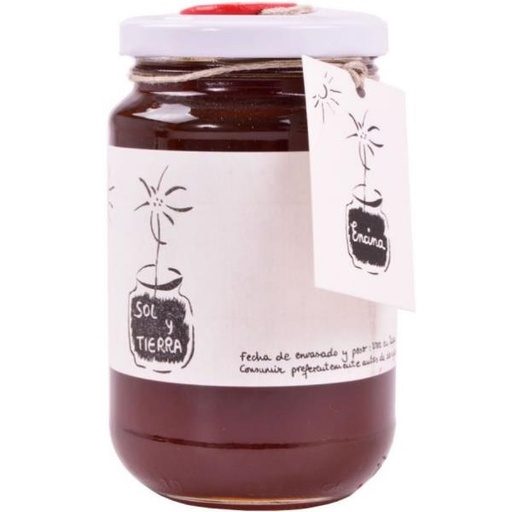 [202237] Miel Encina Bio 500Gr - Sol Y Tierra