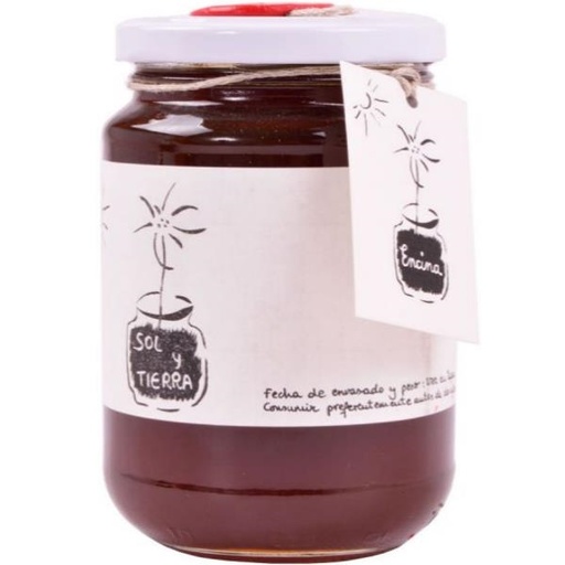 [202245] Miel Encina Bio 1Kg - Sol Y Tierra