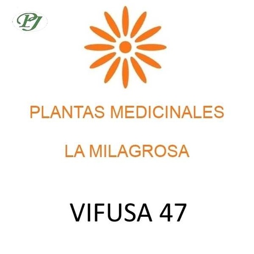 [059580] Vifusa 47 - La Milagrosa